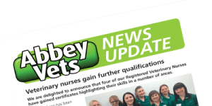 abbey news update abbey news update