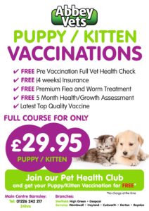 Pet Vaccinations In Barnsley And Sheffield Abbey Vets