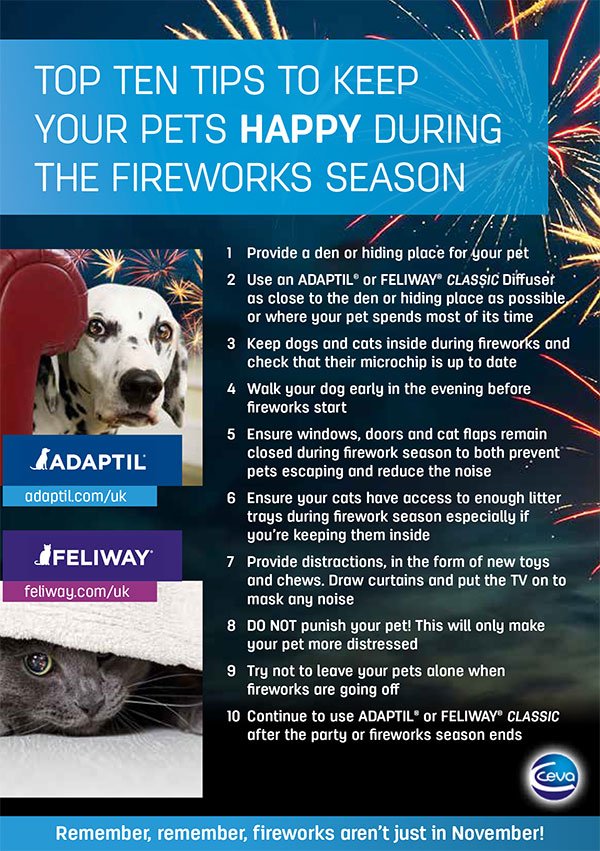 Fireworks-Top-Tips-(Aug-2016) Fireworks-Top-Tips-(Aug-2016)