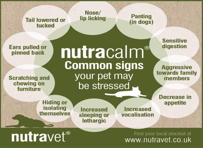 nutracalm common signs nutracalm common signs